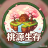桃源服务器